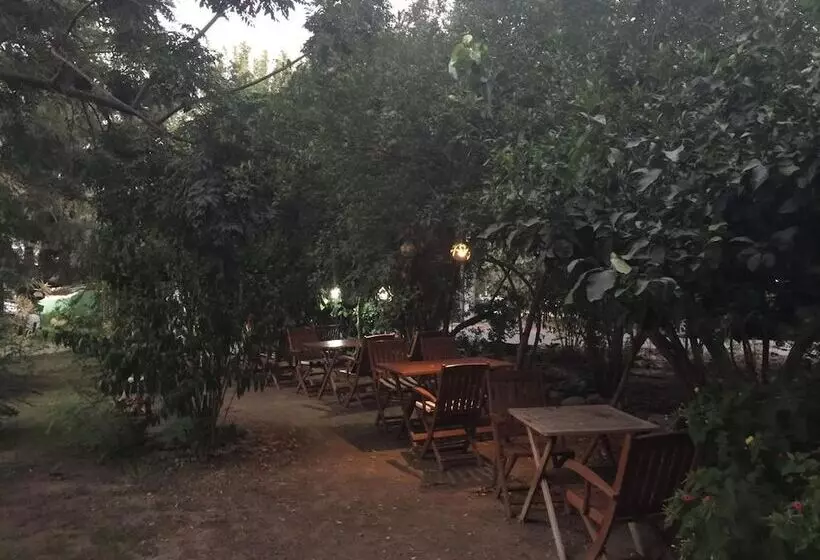 ホテル Narli Pansiyon