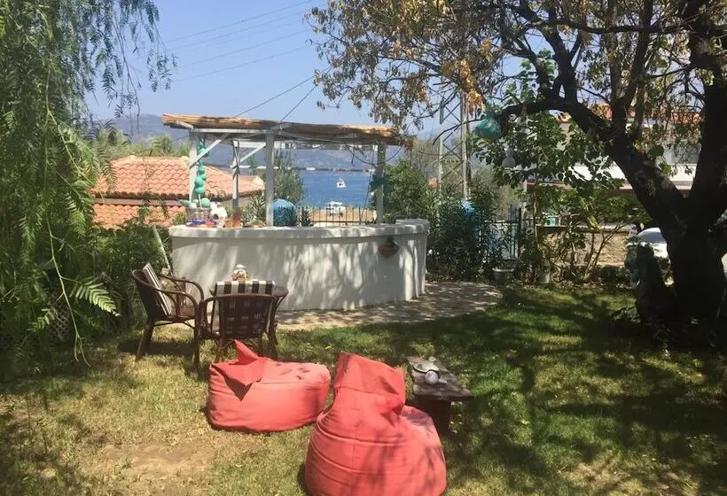 ホテル Narli Pansiyon