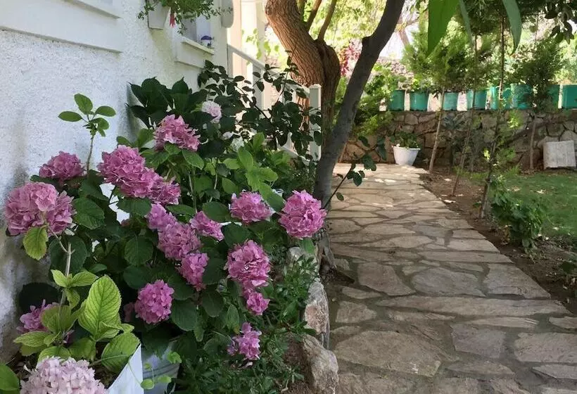 ホテル Narli Pansiyon