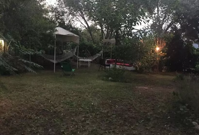 ホテル Narli Pansiyon