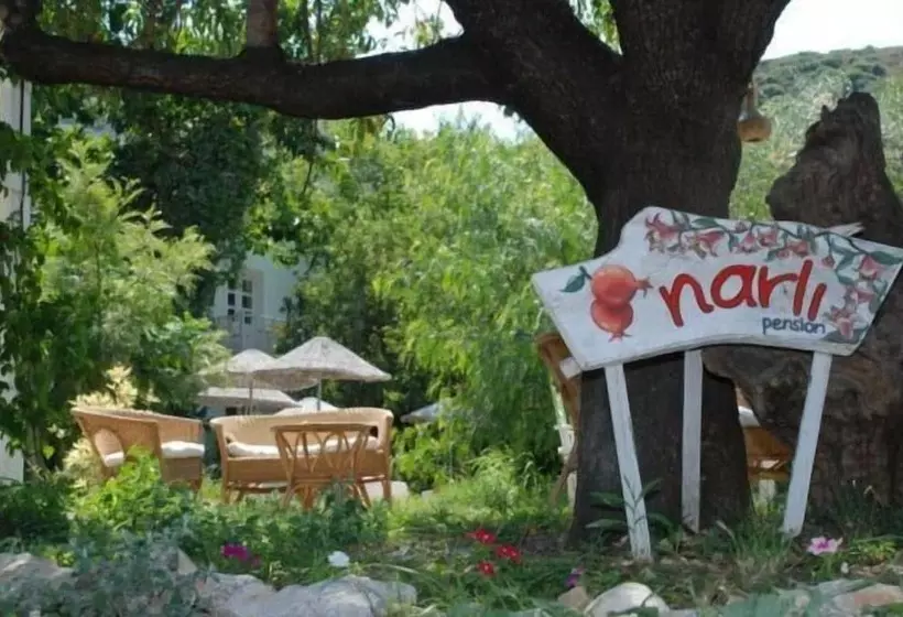 ホテル Narli Pansiyon
