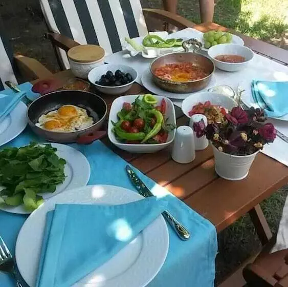 ホテル Narli Pansiyon