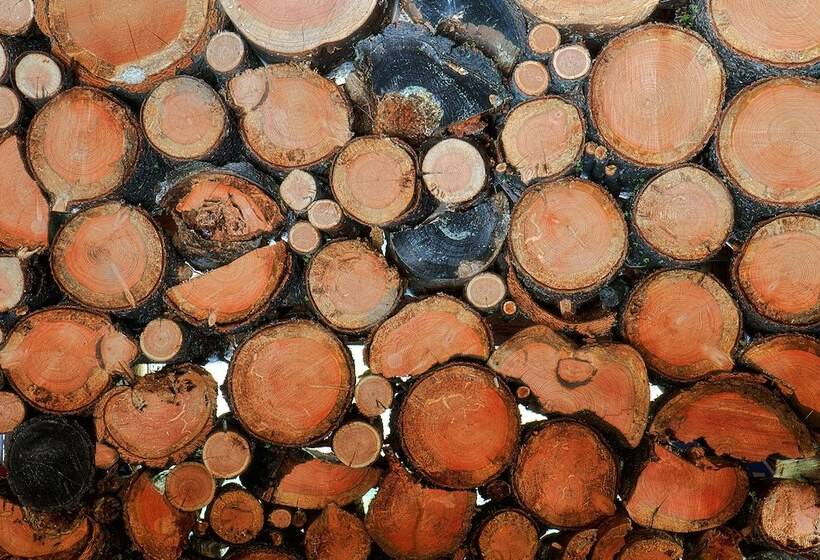 בית מלון כפרי Eden Valley Guest Ranch