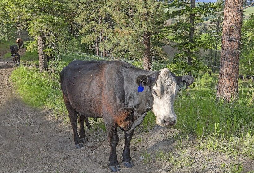 בית מלון כפרי Eden Valley Guest Ranch