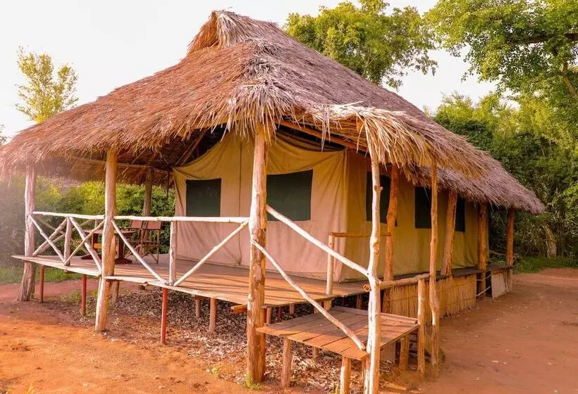 ホテル Selous Butembo Tented Lodge Lotus
