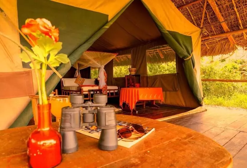 ホテル Selous Butembo Tented Lodge Lotus