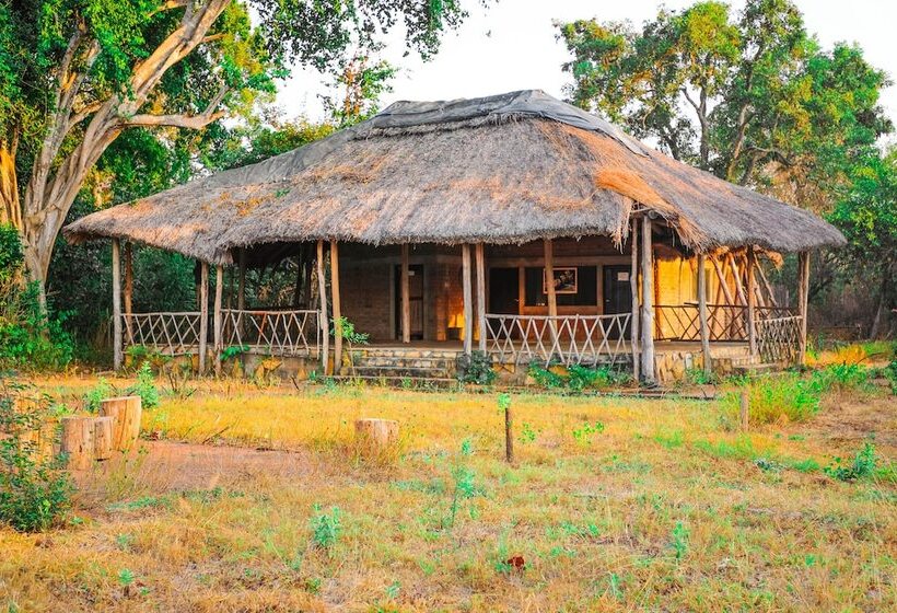 فندق Selous Butembo Tented Lodge Lotus