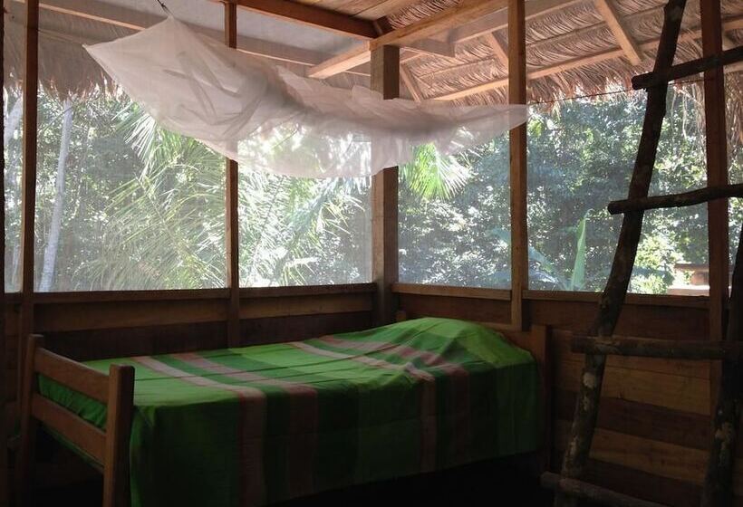 酒店 Tambopata Trek