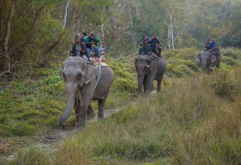 هتل Temple Tiger Green Jungle Resort