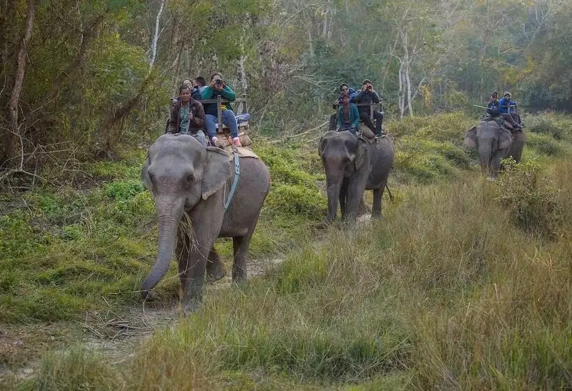 هتل Temple Tiger Green Jungle Resort