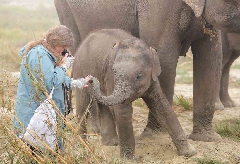 هتل Temple Tiger Green Jungle Resort