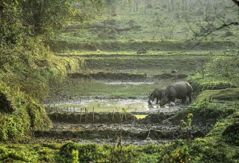 هتل Temple Tiger Green Jungle Resort