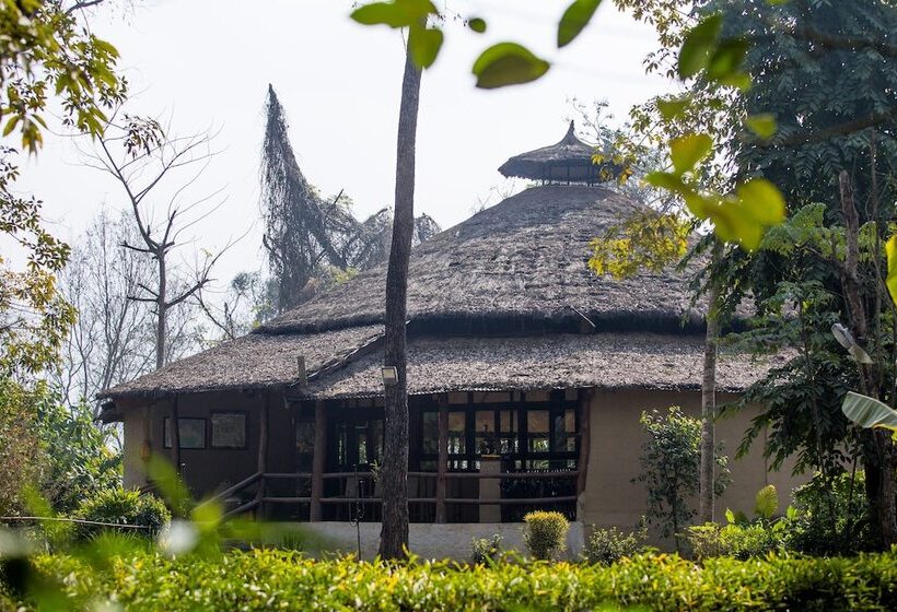 هتل Temple Tiger Green Jungle Resort