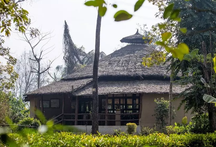 هتل Temple Tiger Green Jungle Resort
