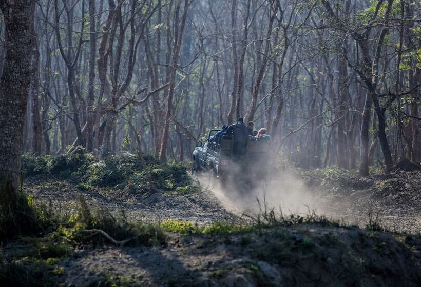 هتل Temple Tiger Green Jungle Resort