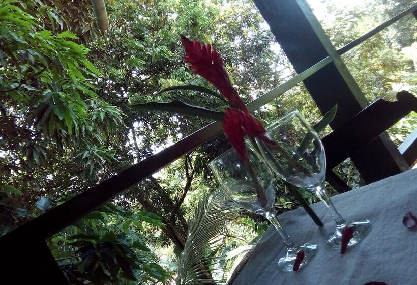 ペンション Condominio Paraiso Do Morro