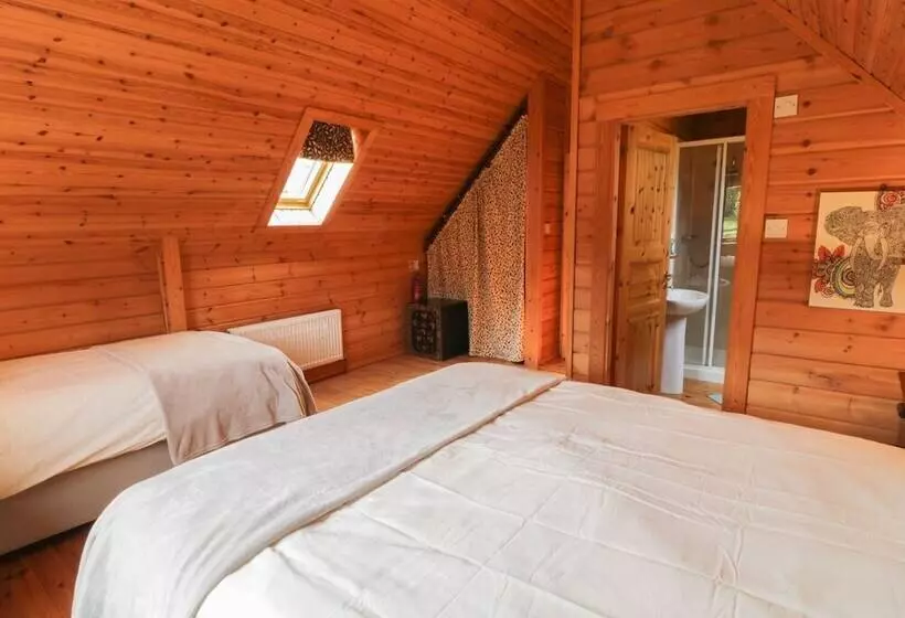 Sunset Lodge 6