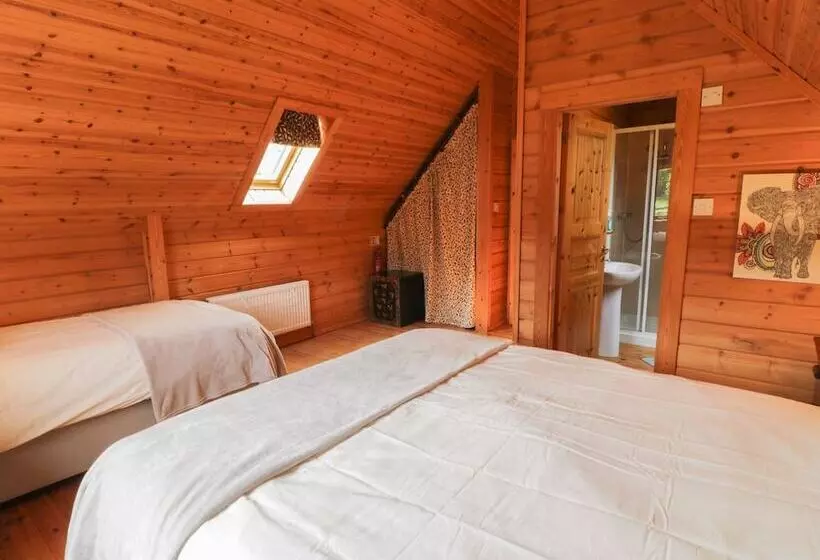 Sunset Lodge 6