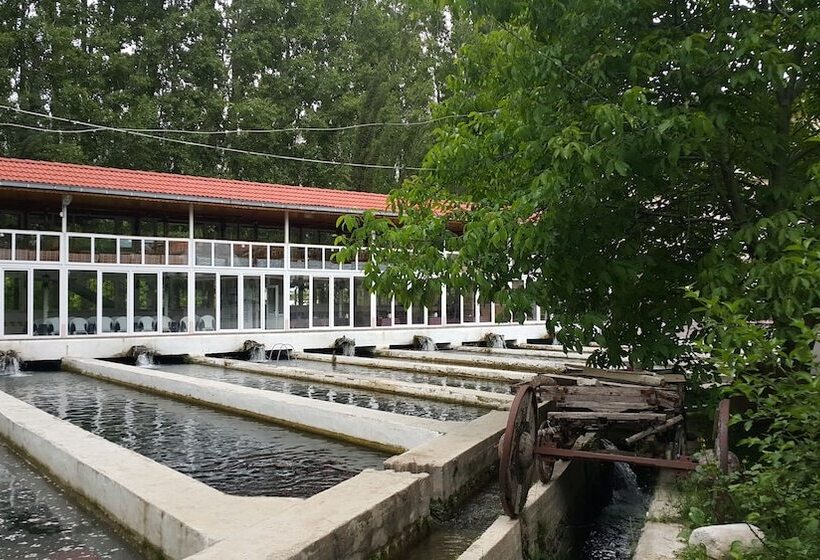 Alanlar Alabalık Ve Otel