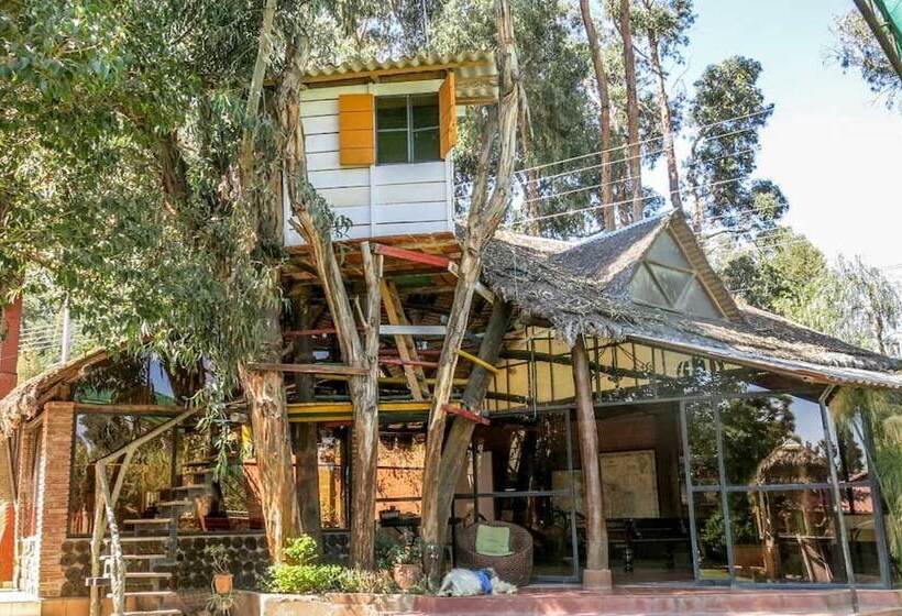 Cabanas Las Lilas Hostel