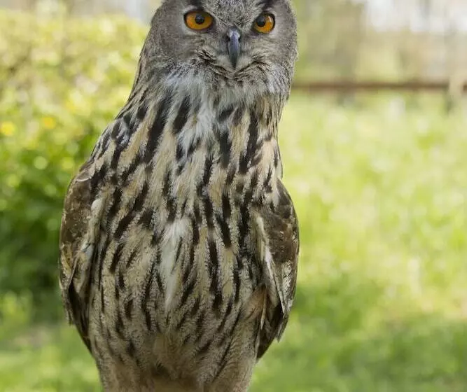 Der Linslerhof   Hotel, Restaurant, Events & Natur