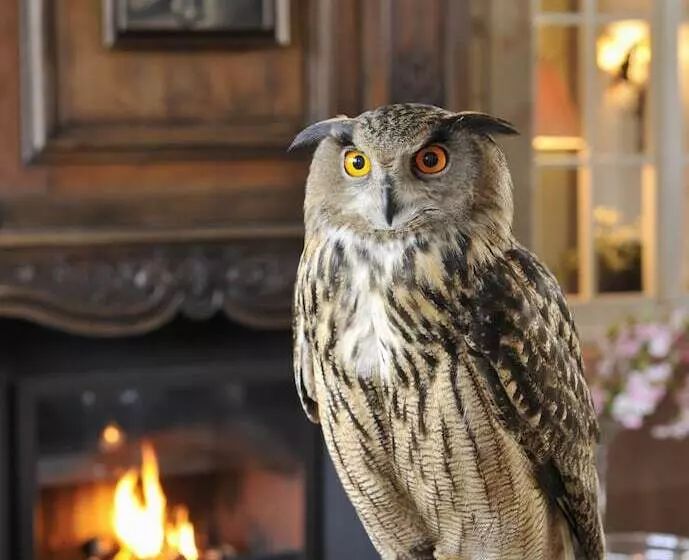 Der Linslerhof   Hotel, Restaurant, Events & Natur