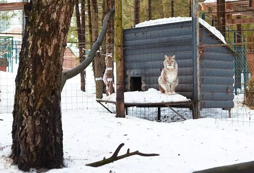 Eco Hotel Romanov Les