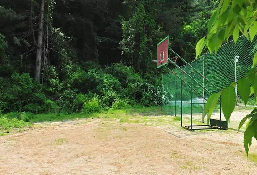 Gapyeong Jandigujang Pension