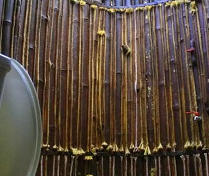 ホテル Raipreda Homestay