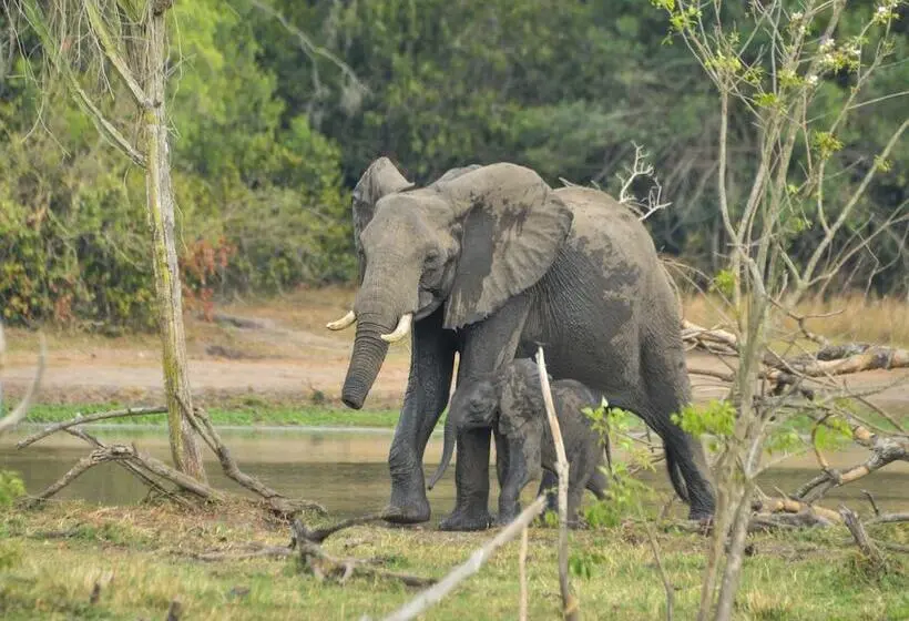 هتل Sambiya River Lodge