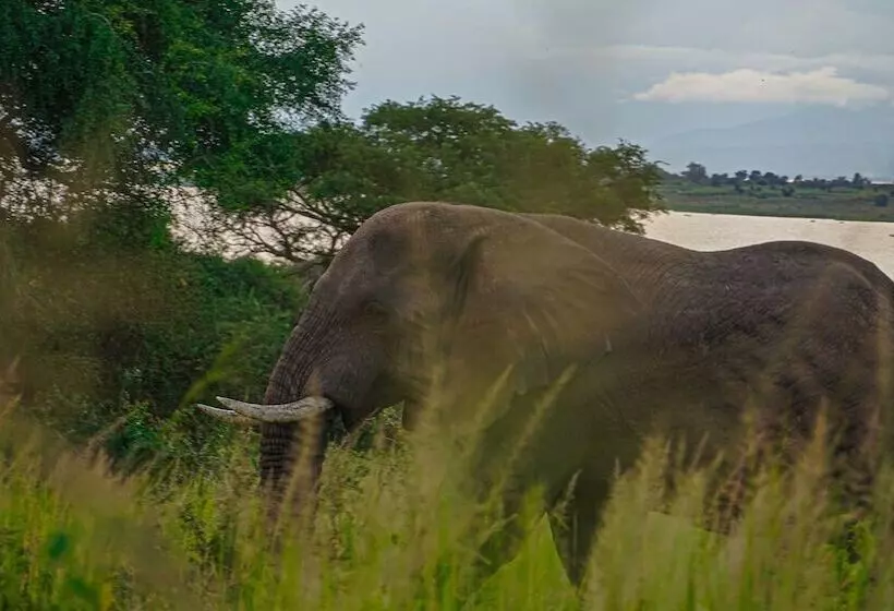 هتل Sambiya River Lodge