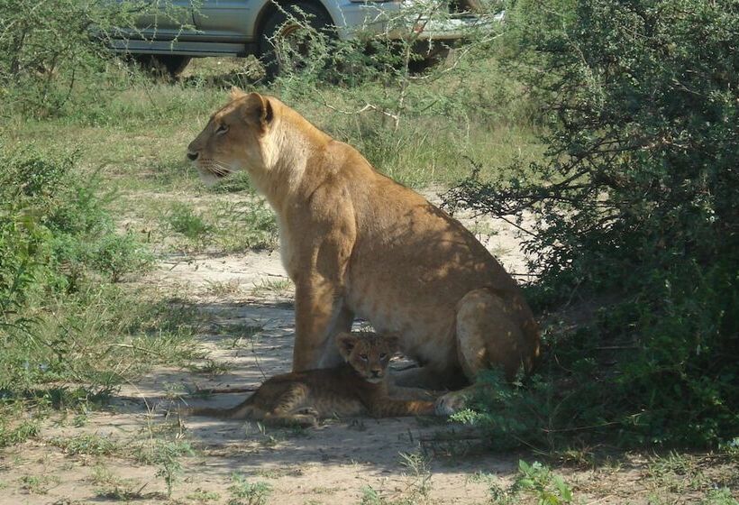 هتل Sambiya River Lodge