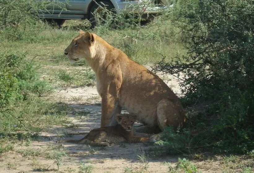 هتل Sambiya River Lodge