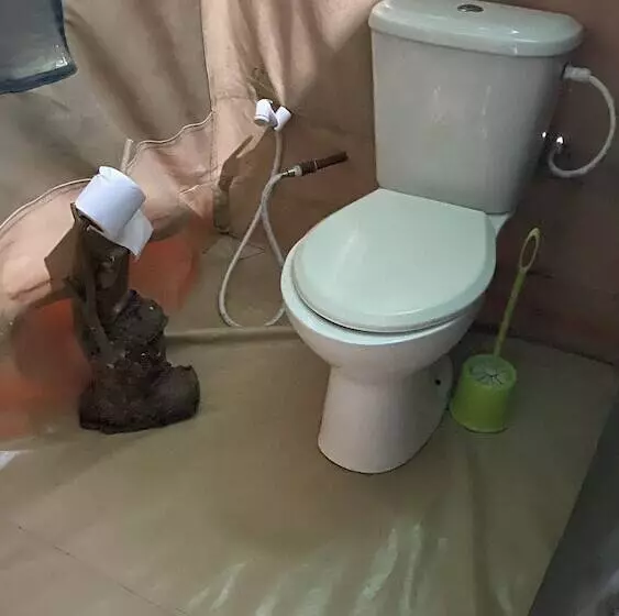 Hotelli Selous Mapumziko Lodge