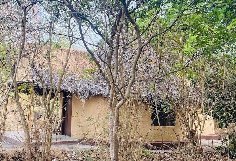 酒店 Selous Mapumziko Lodge