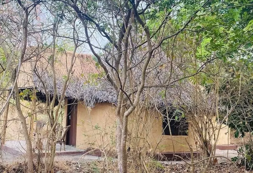 Hotelli Selous Mapumziko Lodge