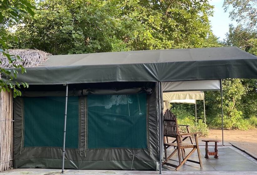 酒店 Selous Mapumziko Lodge