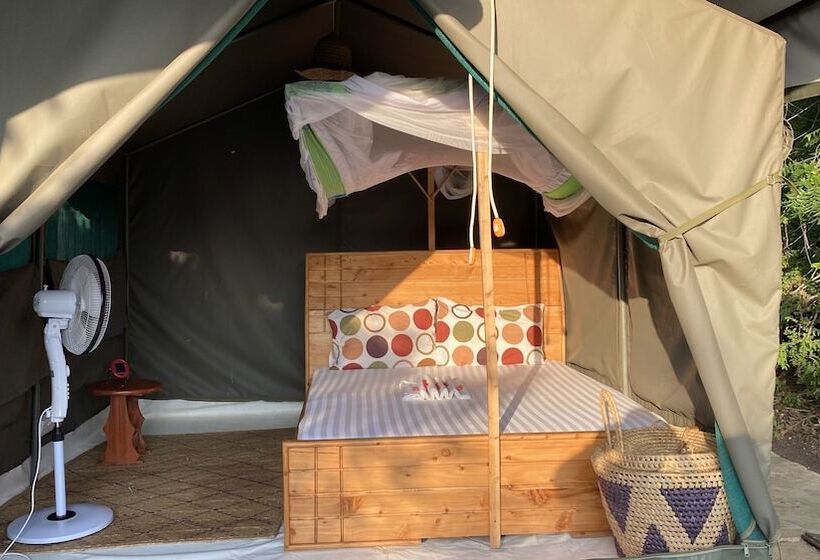 酒店 Selous Mapumziko Lodge