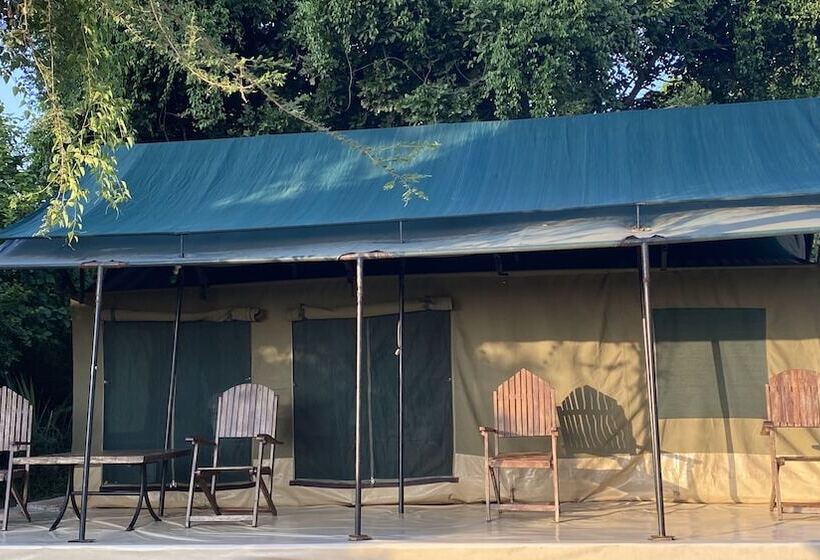 酒店 Selous Mapumziko Lodge