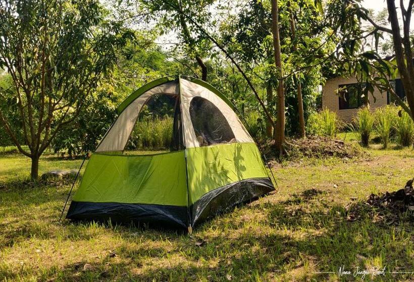 Nana Jungle Resort
