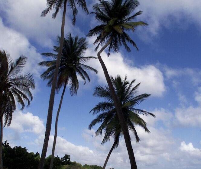 پانسیون Big Sky Lodge