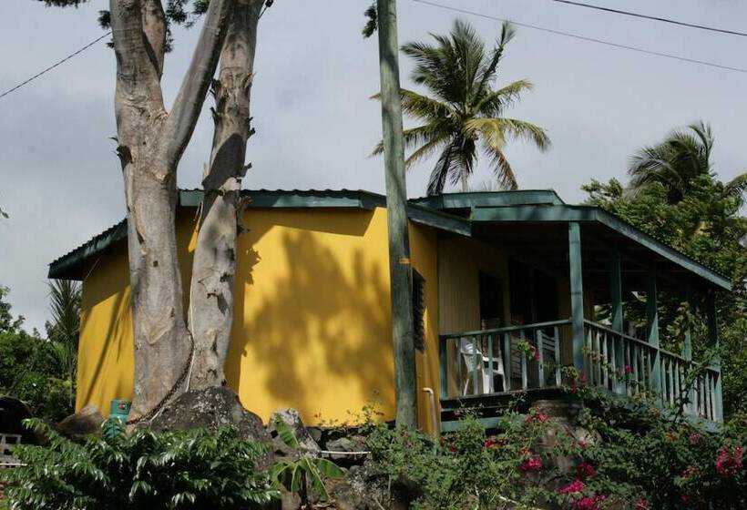 پانسیون Big Sky Lodge