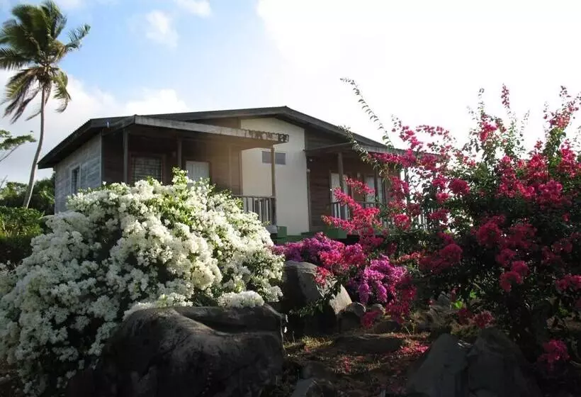 پانسیون Big Sky Lodge