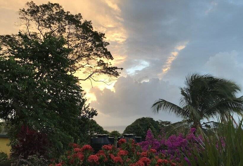 پانسیون Big Sky Lodge