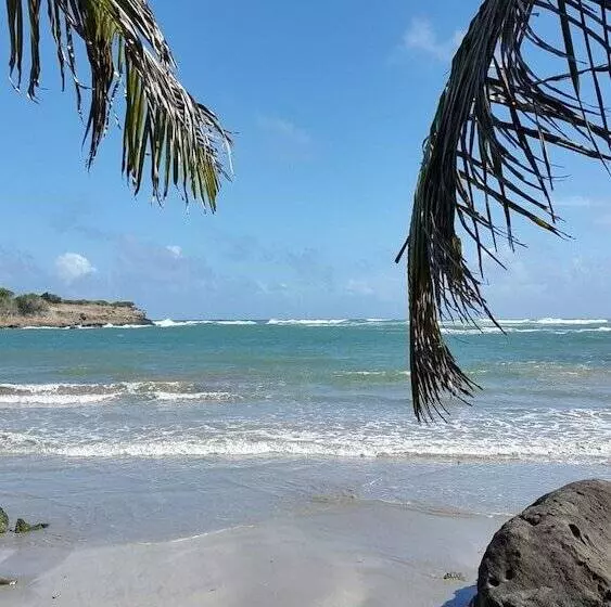 پانسیون Big Sky Lodge