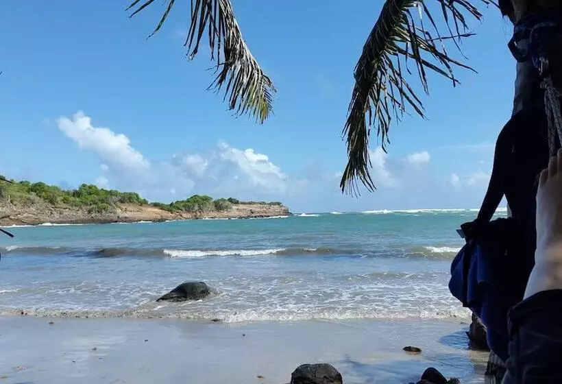 پانسیون Big Sky Lodge