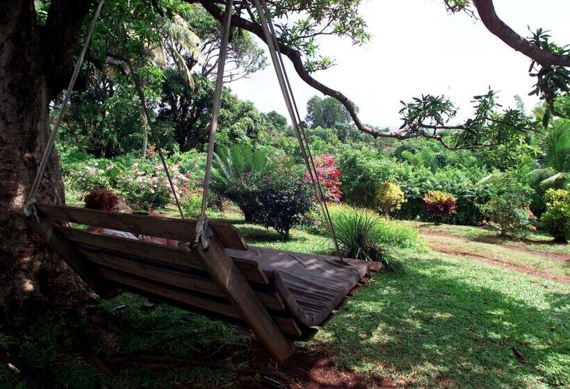 پانسیون Big Sky Lodge