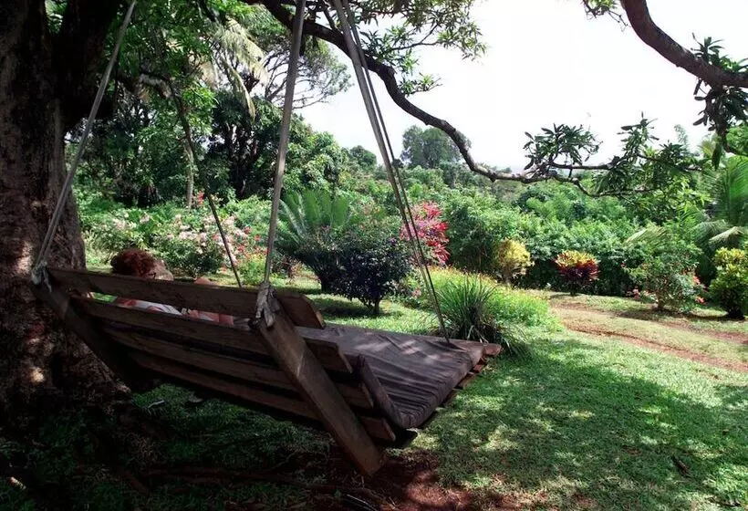 پانسیون Big Sky Lodge