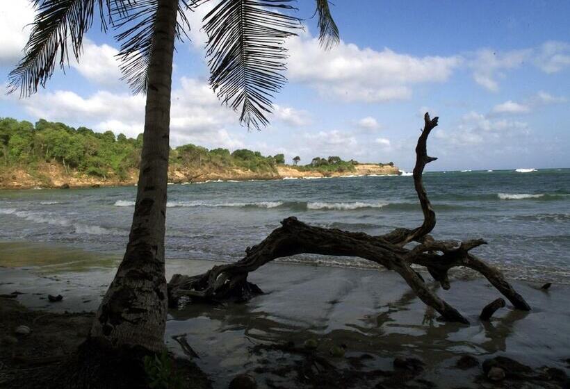 پانسیون Big Sky Lodge