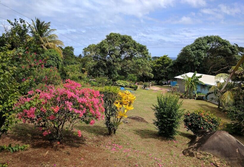 پانسیون Big Sky Lodge